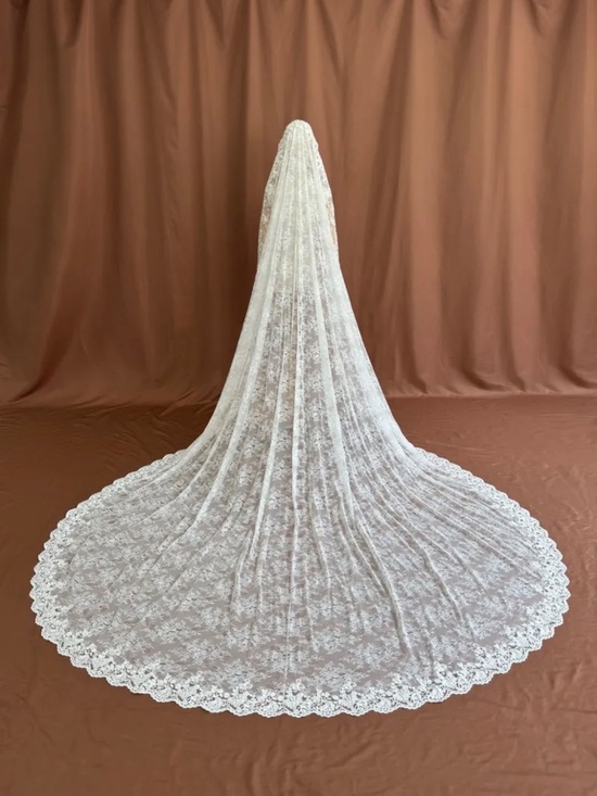 Chantilly Lace Veil main image 5
